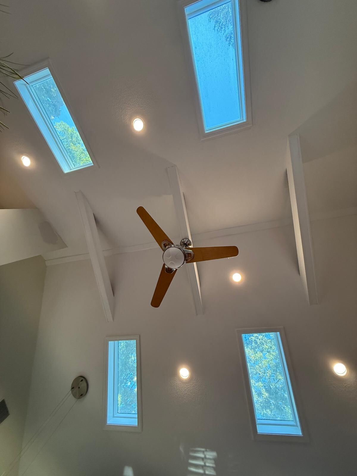 Vaulted Ceiling & Skylights